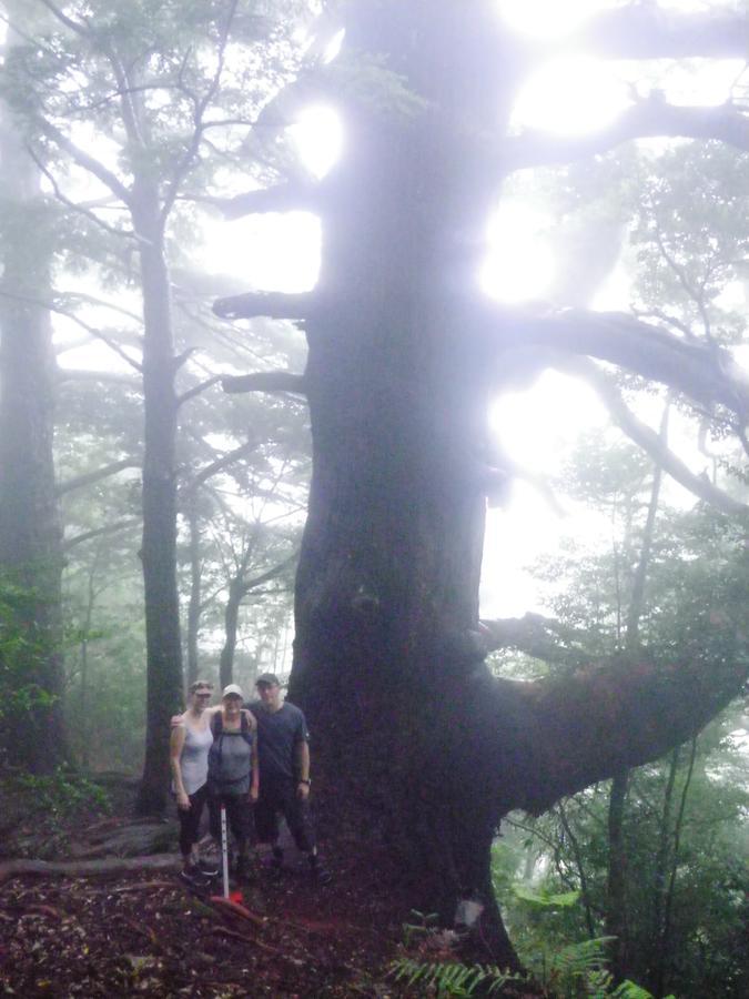 Hostel Kumano Backpackers Tanabe Zewnętrze zdjęcie